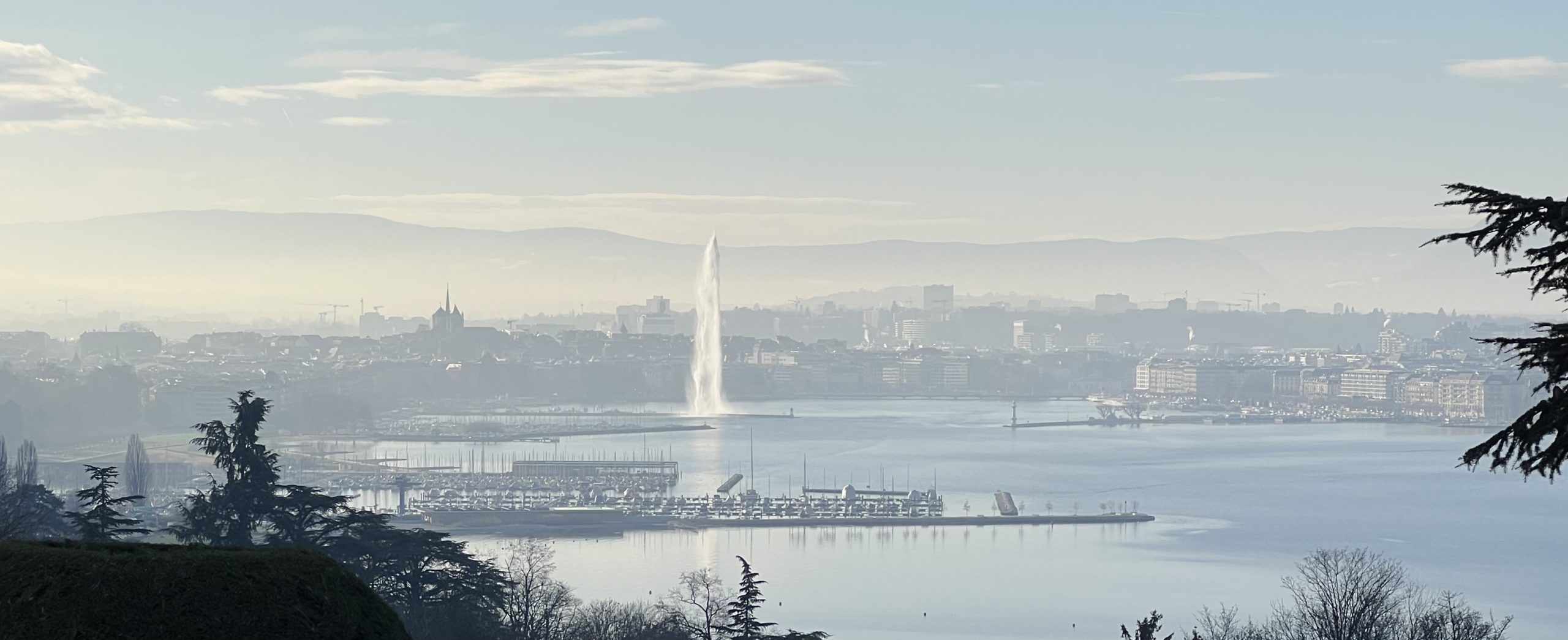 Geneve clair